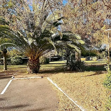 Caravelle T1 Lumineux Au Calme A 5 Mn De La Apartment Argeles-sur-Mer